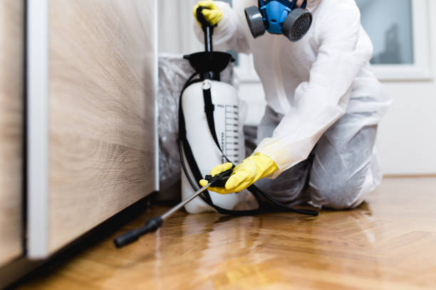 Wildlife Control Services in Isle Of Palms, SC