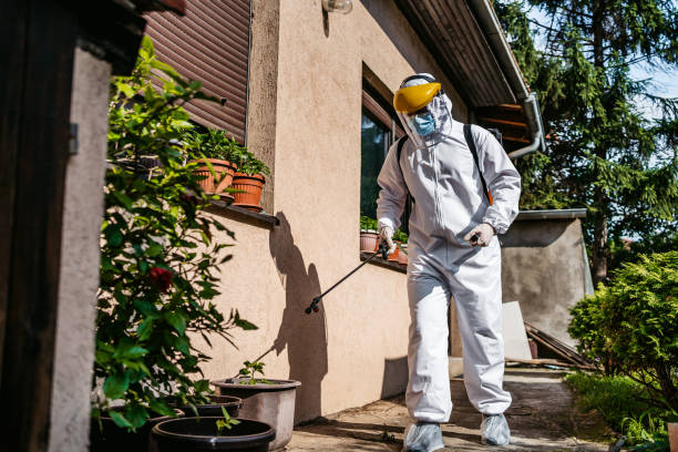 Best Residential Pest Control  in Isle Of Palms, SC