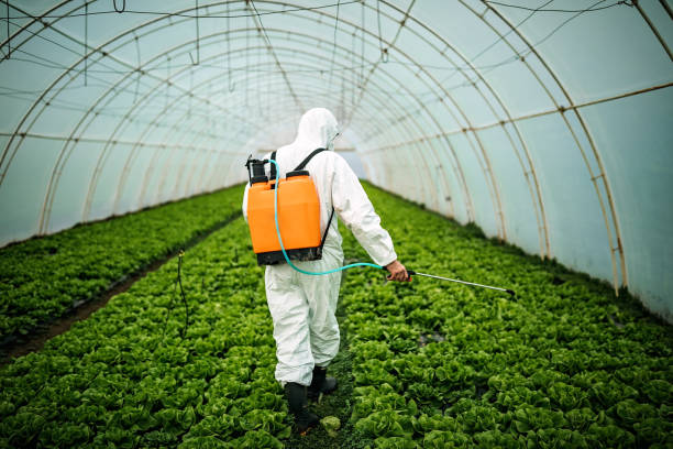 Best Affordable Pest Control Services  in Isle Of Palms, SC