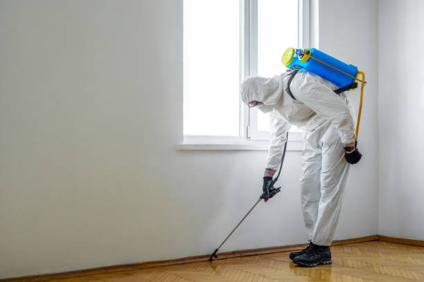 Pest Control Cost in Isle Of Palms, SC
