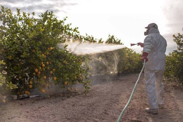 Isle Of Palms, SC Pest Control Company